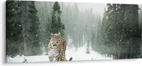 Tablou cu leopard în zăpadă (120x50 cm)