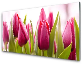 Tablou pe sticla Lalele Floral Red