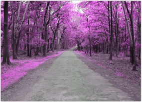 Tablou - drum prin parc (70x50 cm)