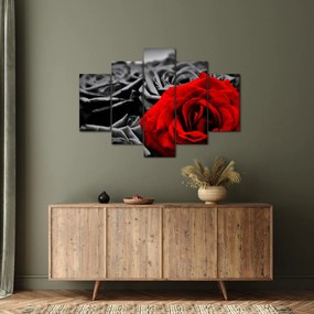 Tablou - Trandafir (150x105 cm)