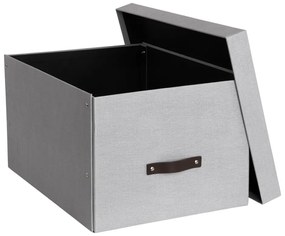Cutie de depozitare din carton cu capac Tora – Bigso Box of Sweden