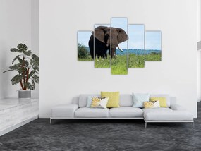 Tablou cu elefant (150x105 cm)
