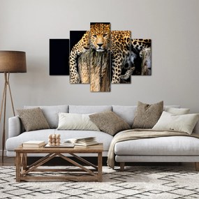 Tablou - Ghepard (150x105 cm)