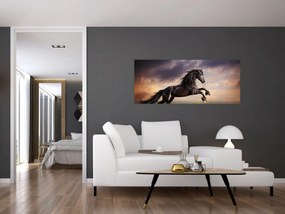 Tablou - Cai (120x50 cm)