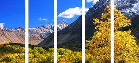 Tablou 5-piese natura frumoasă pe Kamchatka în Rusia