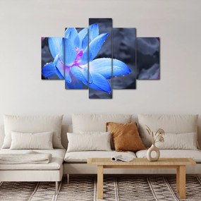 Tablou florilor în detailu (150x105 cm)