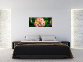 Tablou cu pește (120x50 cm)