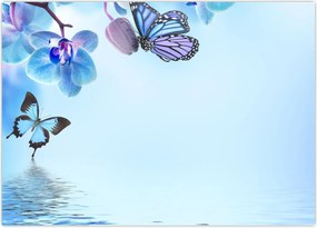 Tablou - Fluture pe flori de orhidee, albastru (70x50 cm)