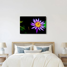 Tablou cu floare (90x60 cm)