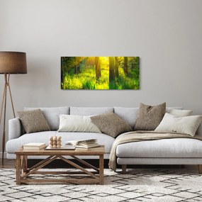 Tablou - Trezirea de primăvară a pădurii (120x50 cm)
