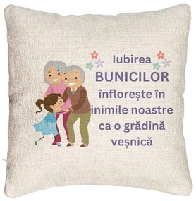 Perna Decorativa Canapea pentru Bunici 2, 40x40 cm, Cu fermoar