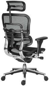 Scaun de birou - ERGOHUMAN2 PDH ULTRA BLACK FRAME W09-01+ALU BASE - precomanda 7-12 zile (Termen de livrare: 7 zile)