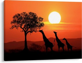 Tablou cu girafe în apus de soare (70x50 cm)