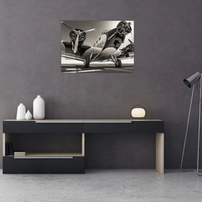 Tablou - Avioane istorice (70x50 cm)