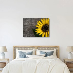 Tablou - Floare de floarea soarelui (70x50 cm)