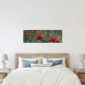 Tablou - Lunca cu maci (cu ceas) (90x30 cm)