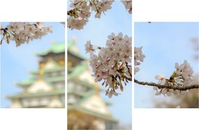 Tablou - Sakura (90x60 cm)
