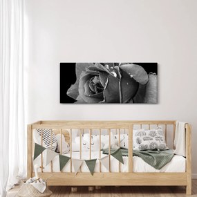 Tablou cu trandafir - albneagră (120x50 cm)