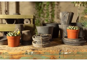 Farfurii de ghiveci 3 buc. din teracotă ø 10 cm – Esschert Design