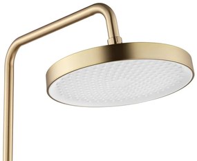 Set dus REA Veneta auriu periat