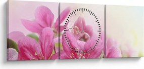 Tablou - Flori roz (cu ceas) (90x30 cm)