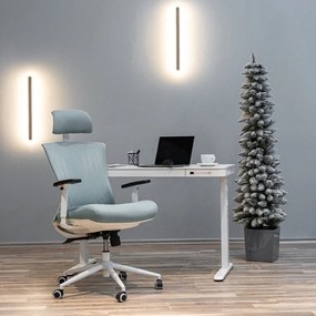 Scaun rotativ ergonomic de birou Ergomax, patină