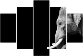 Tablou - Elefant (150x105 cm)