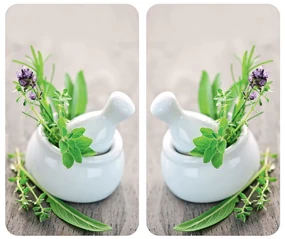 Plăci de protecție din sticlă HERB GARDEN pentru aragaz – 2 bucăți, WENKO