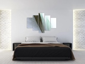 Tablou - Pene, macro (150x105 cm)