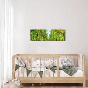 Tablou - Privire spre pădure (cu ceas) (90x30 cm)