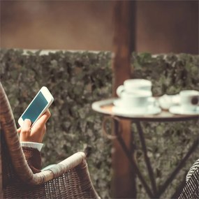 Blumfeldt Fency Ivy, frunze iedera de culoare verde inchis - gard de protecție împotriva vântului 300 x 150 cm