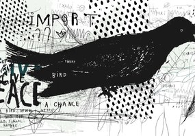 Fototapet - Street art - bird (147x102 cm)