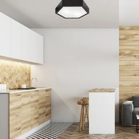 Plafonieră HEX 2xE27/60W/230V d. 43 cm negru pin
