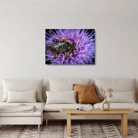 Tablou pe sticlă cu albina pe floare (70x50 cm)