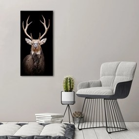Imprimare tablou canvas Cerb