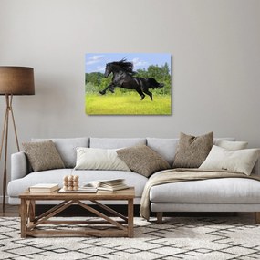 Tablou pe sticlă - Cal cu o coamă curgătoare (70x50 cm)