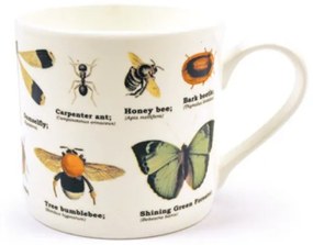 Cană cu insecte