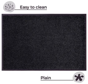 Covoraș de intrare 60x40 cm Wash and Clean - Hanse Home