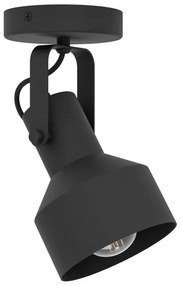 Spot CASIBARE 1xE27/28W/230V Eglo 99517