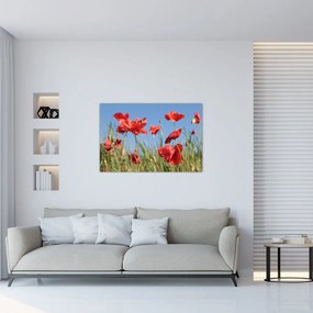 Tablou - Maci (90x60 cm)