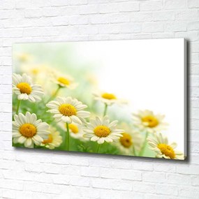 Tablou canvas Margarete