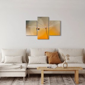 Tablou - Flori macro (90x60 cm)