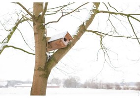 Căsuță pentru bufnițe din lemn – Esschert Design