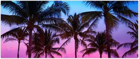 Tablou - Palmieri din Miami (120x50 cm)