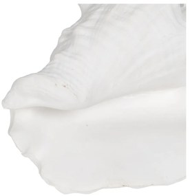 Statuetă din polirășină (înălțime 13 cm) Seashell – Ixia