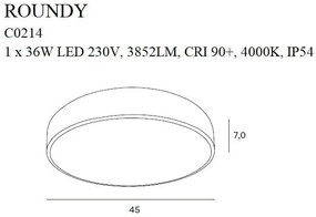 Plafoniera neagra Roundy- C0214