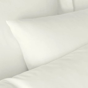 Fețe de pernă 2 buc. din bumbac egiptean 50x75 cm – Bianca