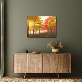 Tablou cu copaci toamna (70x50 cm)