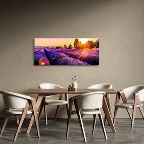 Tablou cu câmp de lavandă, Provincie (120x50 cm)