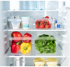 Organizator de frigider din plastic 22x20 cm Loft – Rotho